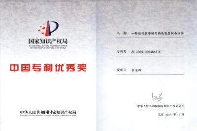 中國優(yōu)秀專利獎